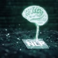 Exploring Natural Language Processing (NLP) Software